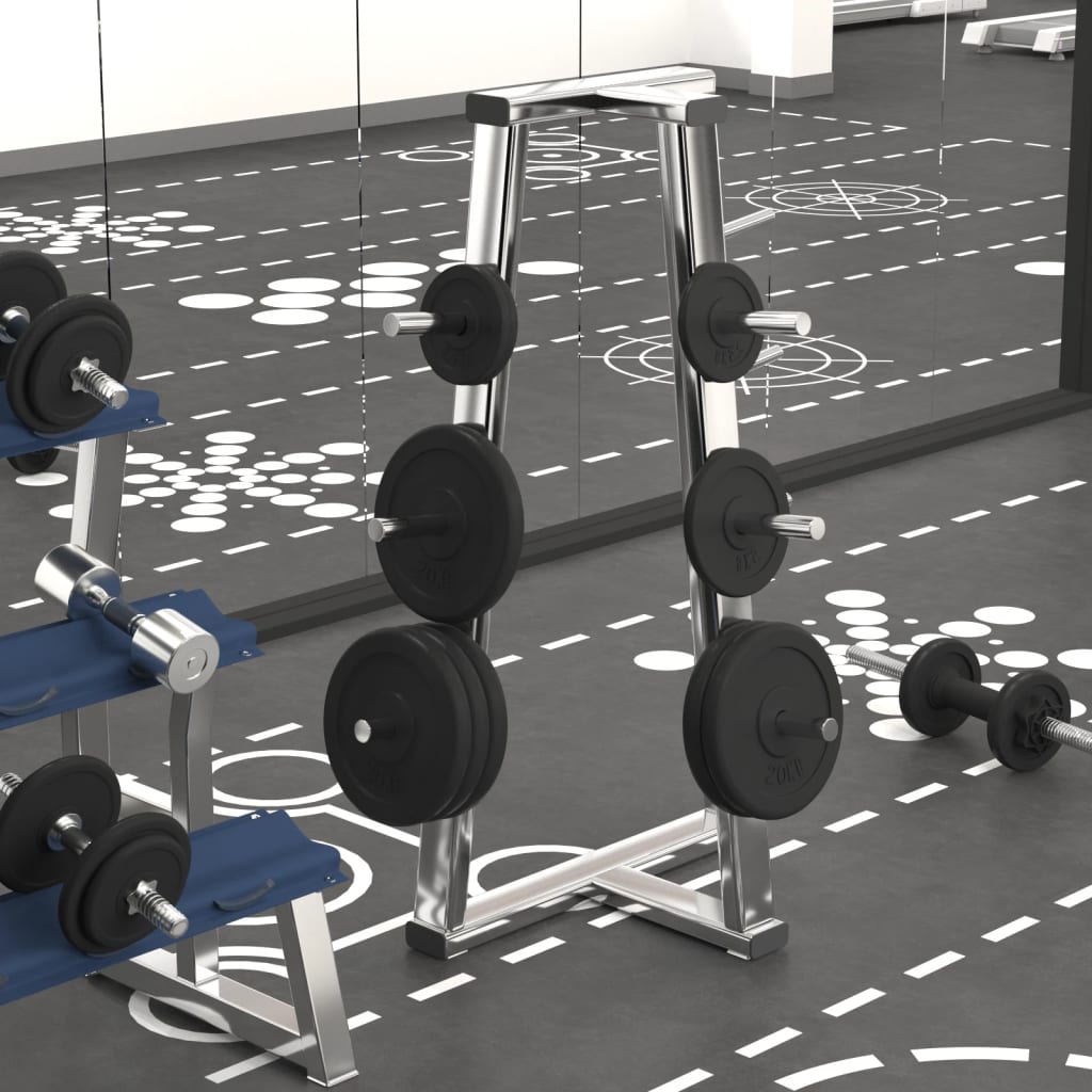 Halterschijven 6 St 30 Kg Gietijzer