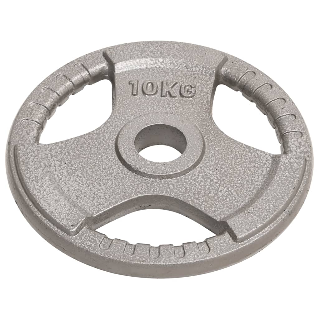 Halterschijven 2 St 20 Kg Gietijzer