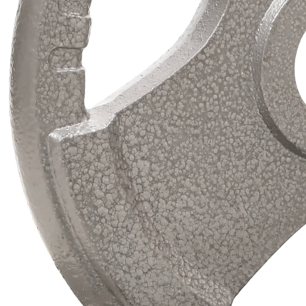 Halterschijven 2 St 20 Kg Gietijzer