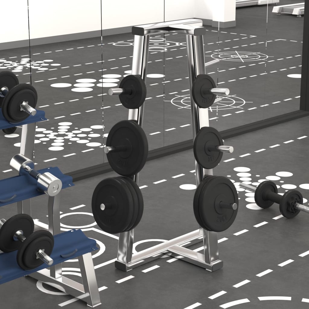 Halterschijven 6 St 30 Kg Gietijzer