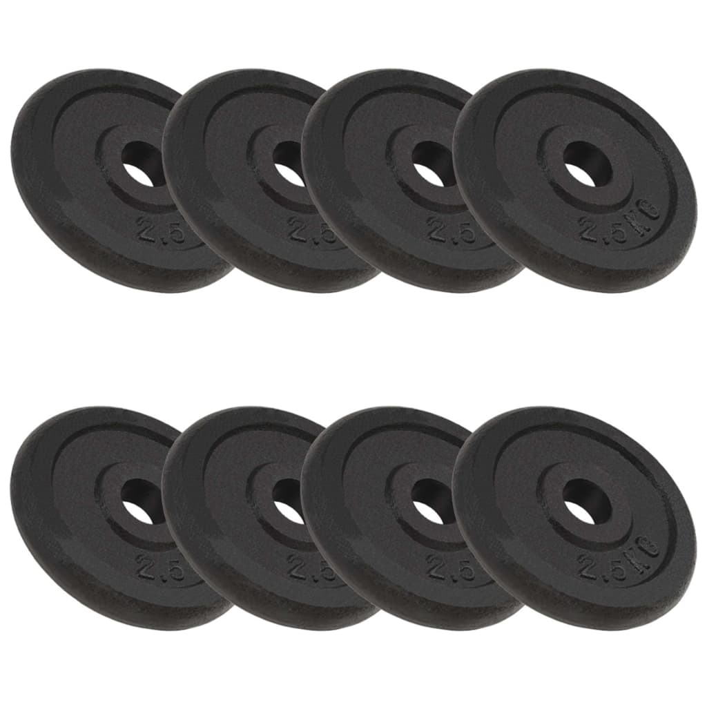 Halterschijven 6 St 30 Kg Gietijzer