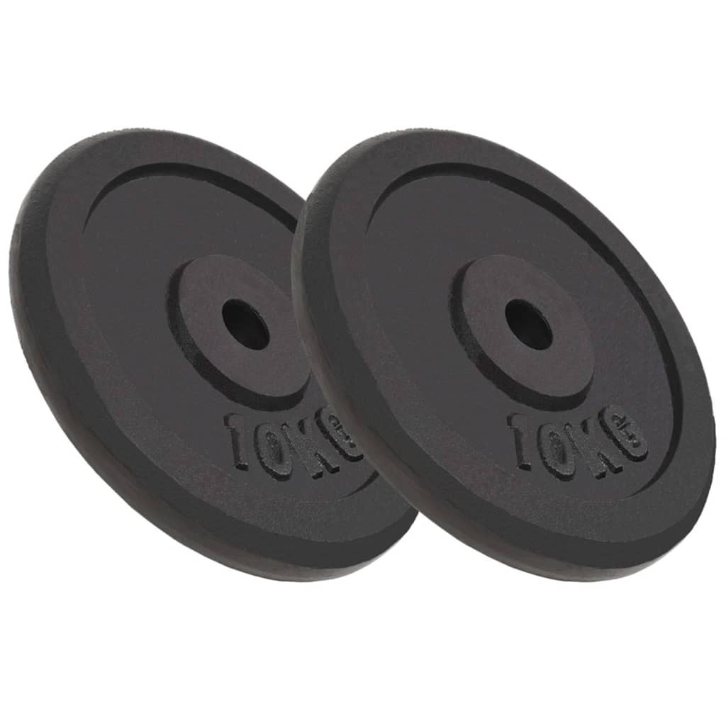 Halterschijven 6 St 30 Kg Gietijzer