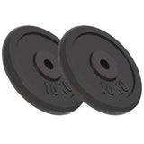 Halterschijven 6 St 30 Kg Gietijzer