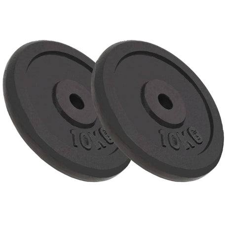 Halterschijven 6 St 30 Kg Gietijzer