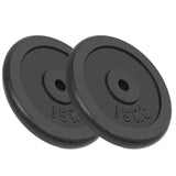 Halterschijven 6 St 30 Kg Gietijzer