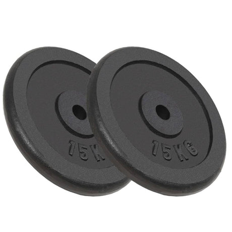 Halterschijven 6 St 30 Kg Gietijzer