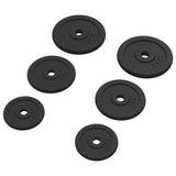 Halterschijven 6 St 30 Kg Gietijzer