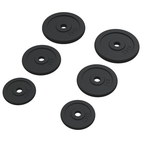 Halterschijven 6 St 30 Kg Gietijzer