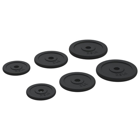 Halterschijven 6 St 30 Kg Gietijzer