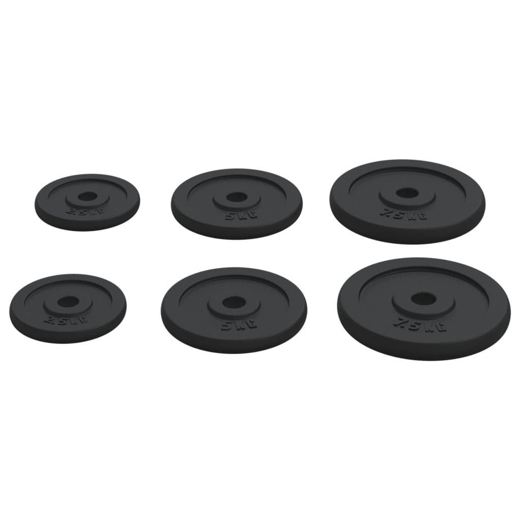 Halterschijven 6 St 30 Kg Gietijzer