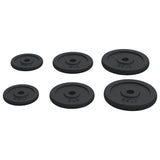 Halterschijven 6 St 30 Kg Gietijzer