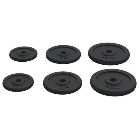 Halterschijven 6 St 30 Kg Gietijzer
