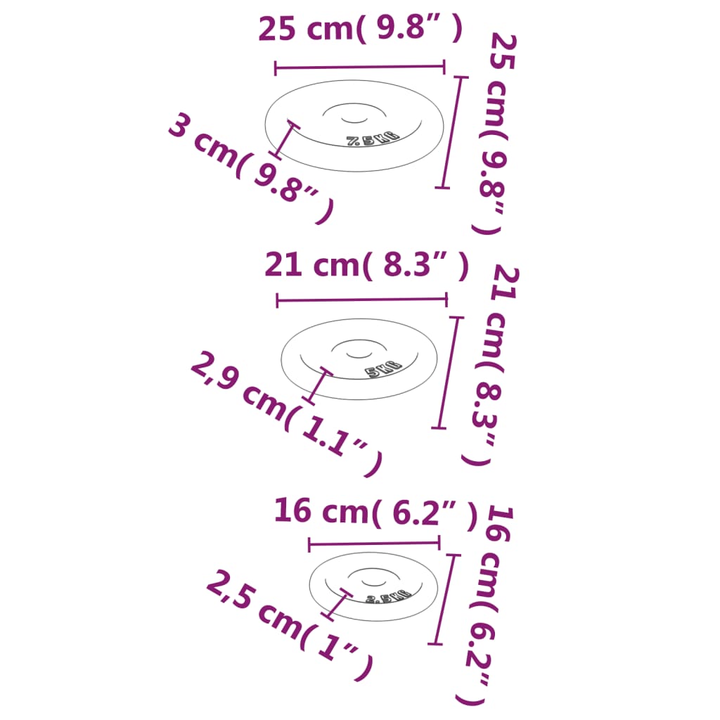 Halterschijven 6 St 30 Kg Gietijzer