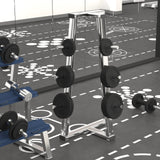 Halterschijven 6 St 30 Kg Gietijzer