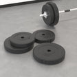 Halterschijven 4 St 20 Kg
