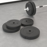 Halterschijven 4 St 20 Kg