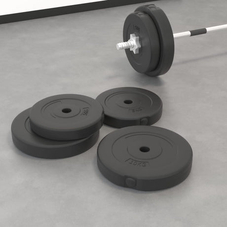 Halterschijven 4 St 20 Kg