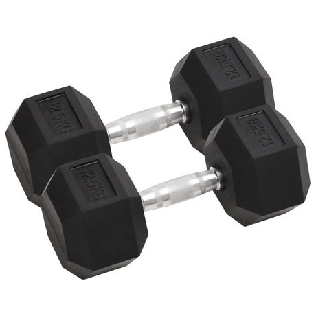 Halters 30 Kg Gietijzer