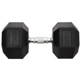 Halters 30 Kg Gietijzer