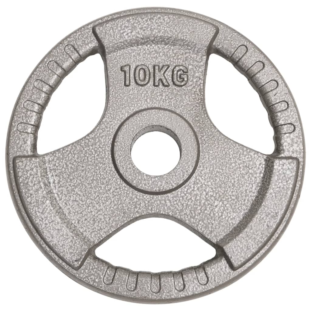 Halterschijven 2 St 20 Kg Gietijzer