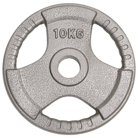 Halterschijven 2 St 20 Kg Gietijzer