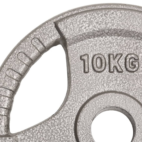 Halterschijven 2 St 20 Kg Gietijzer