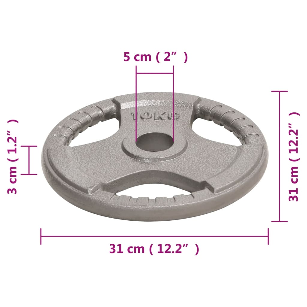 Halterschijven 2 St 20 Kg Gietijzer