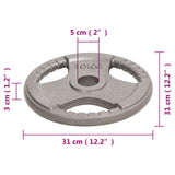 Halterschijven 2 St 20 Kg Gietijzer