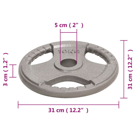 Halterschijven 2 St 20 Kg Gietijzer